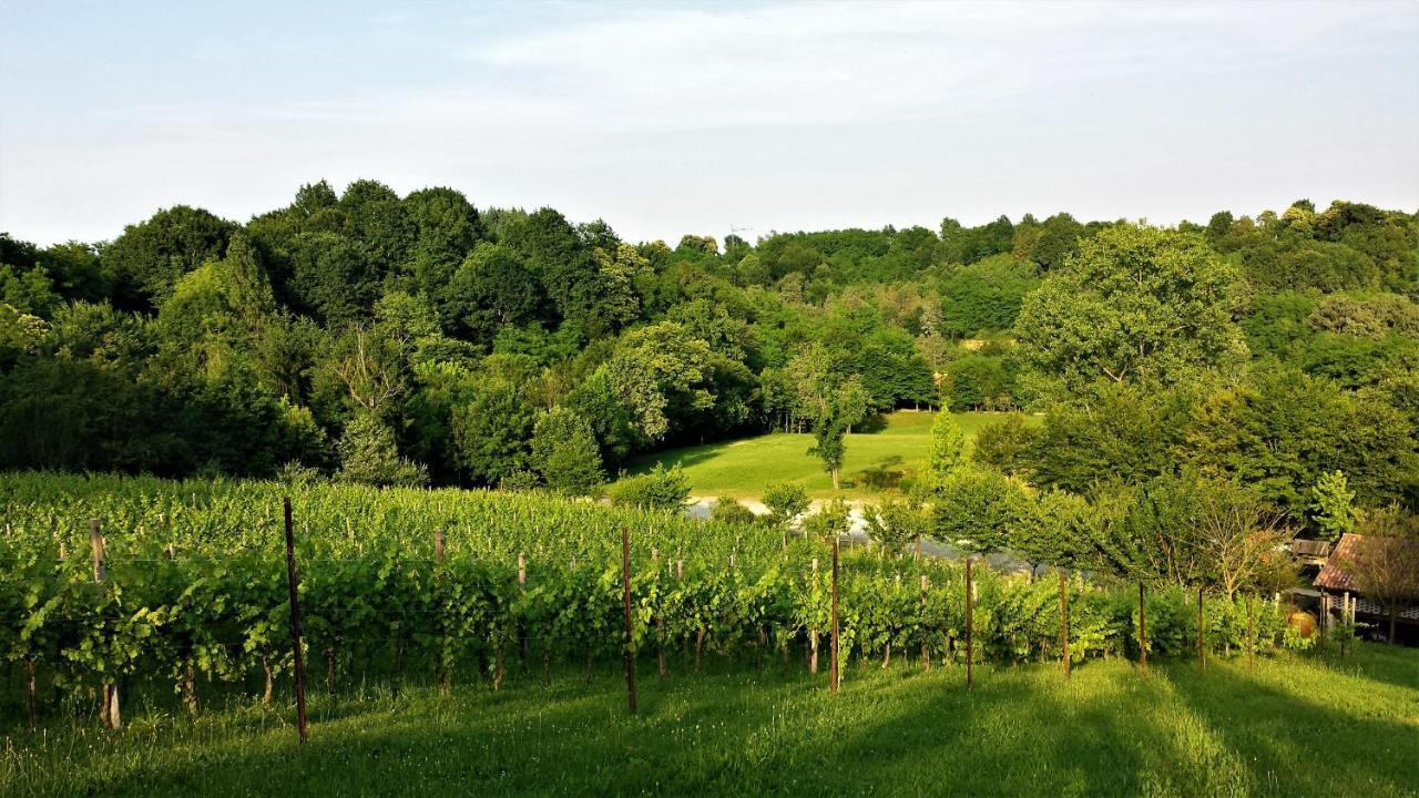 La Valle Nervesa della Battaglia Extérieur photo